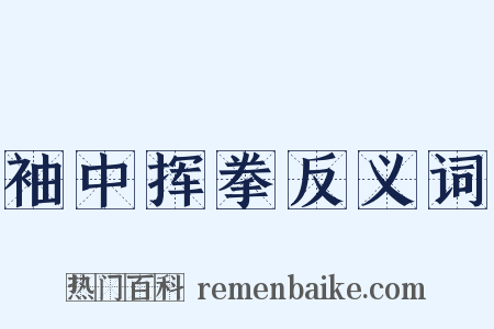 袖中挥拳反义词是什么意思的图片
